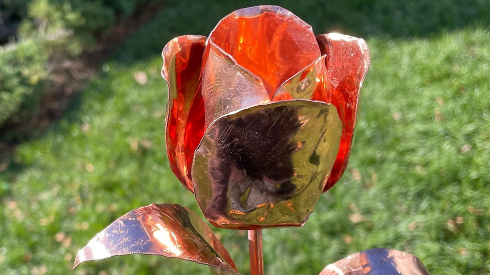 Copper Tulip
