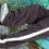 Miniatura: pants verano.