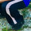 Miniatura: pants verano.