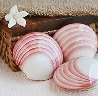 Lava-shells-pic-2.jpg