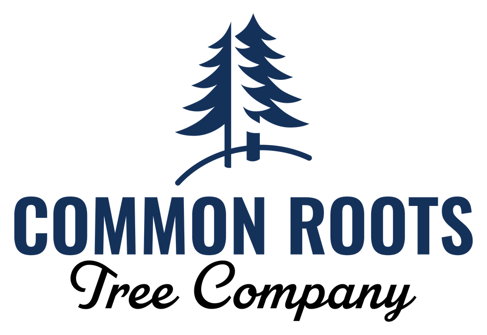 Common Roots Vert Logo.png