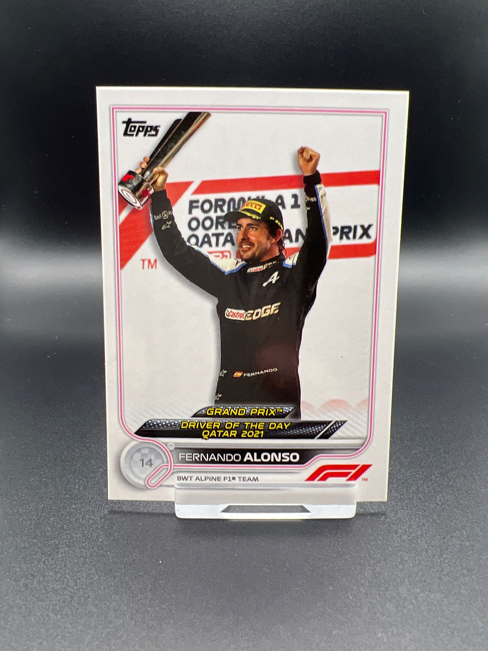 Flagship 2022 No.191 Fernando Alonso