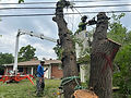 IMG_9933.jpeg