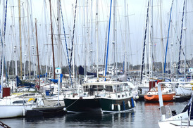 DSC_2131.JPG
