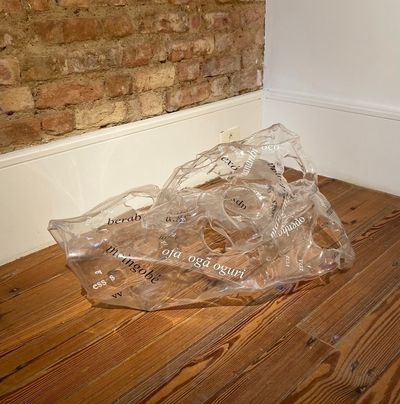 Translucent Poem 1X - Xico Chaves