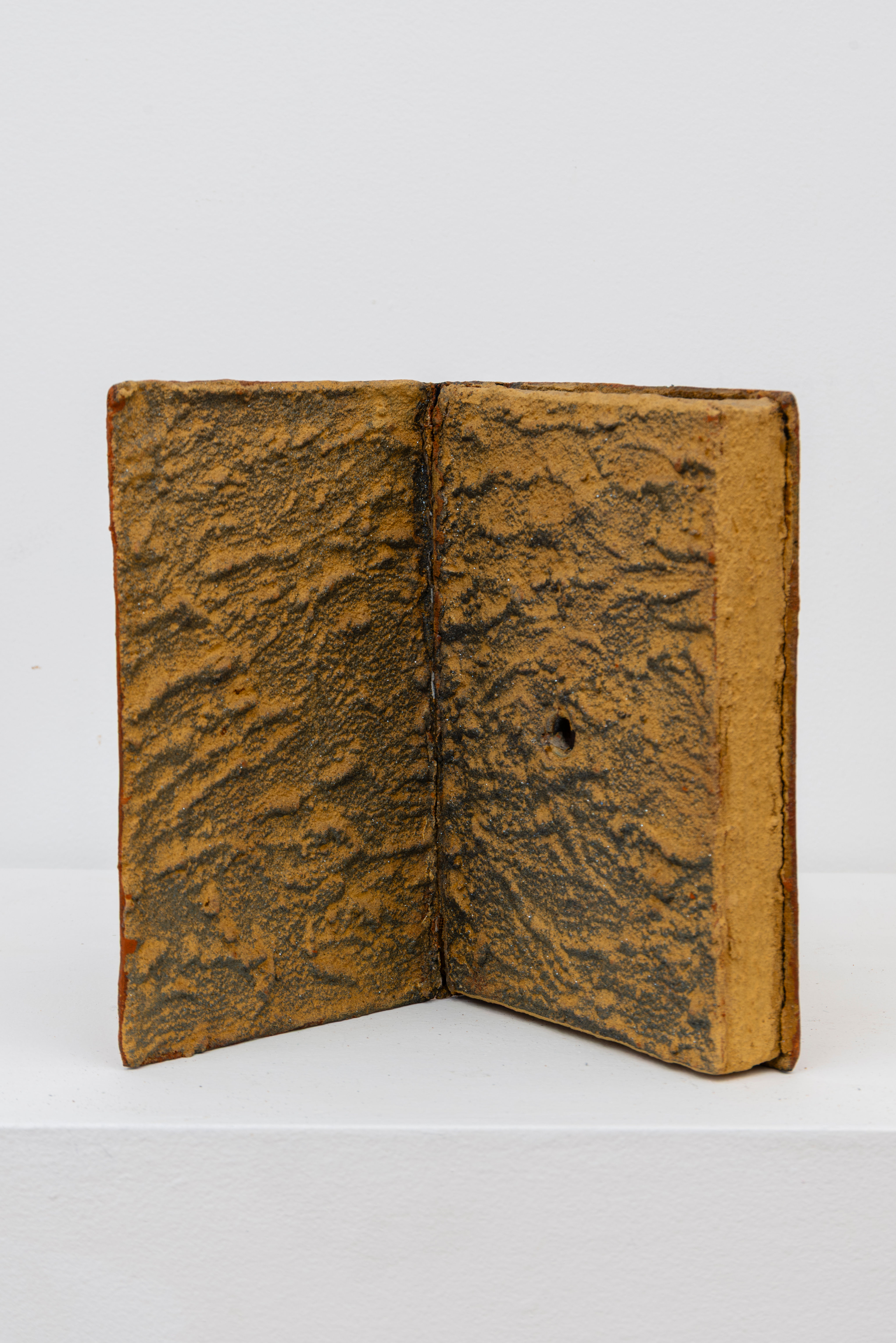 Livro de Pedra [Olho Mágico]  - Xico Chaves