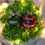 Thumbnail: Personalized Santa Cam or Elf Cam ornament