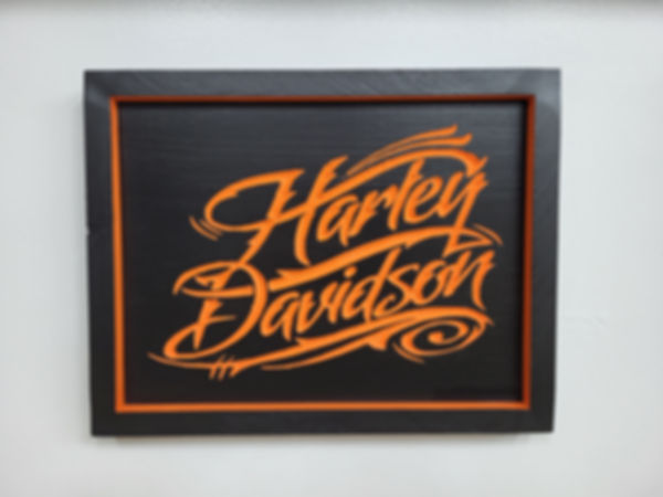 Harley DavidsonPicture Black