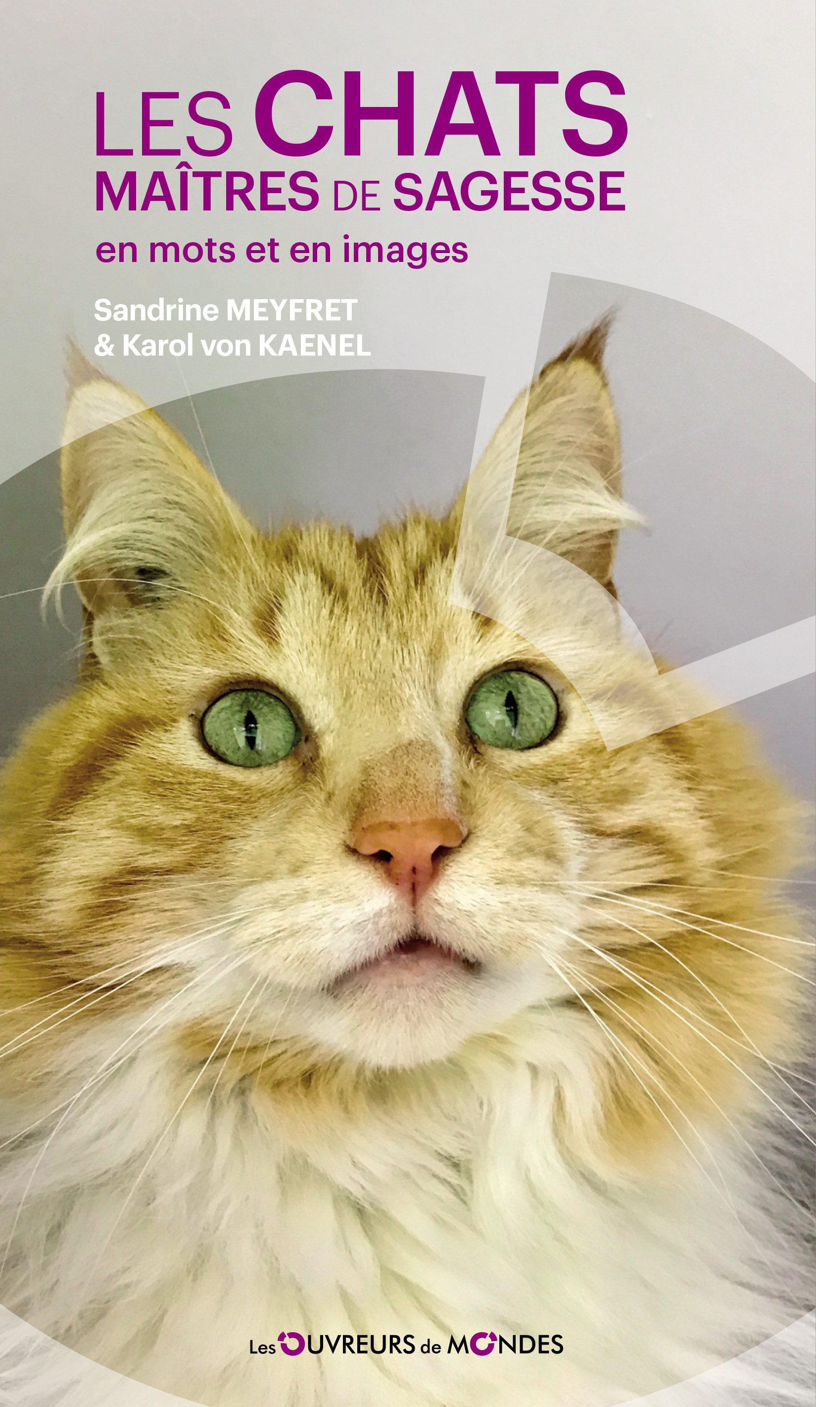 LES CHATS, MAÎTRES DE SAGESSE
