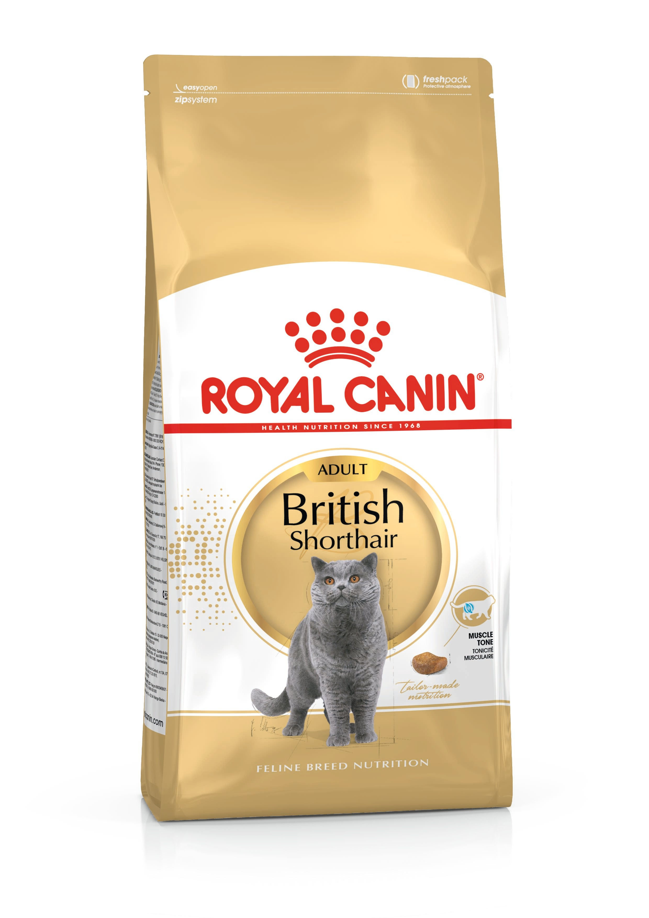 Royal Canin® מזון לחתול בריטי קצר שיער בוגר