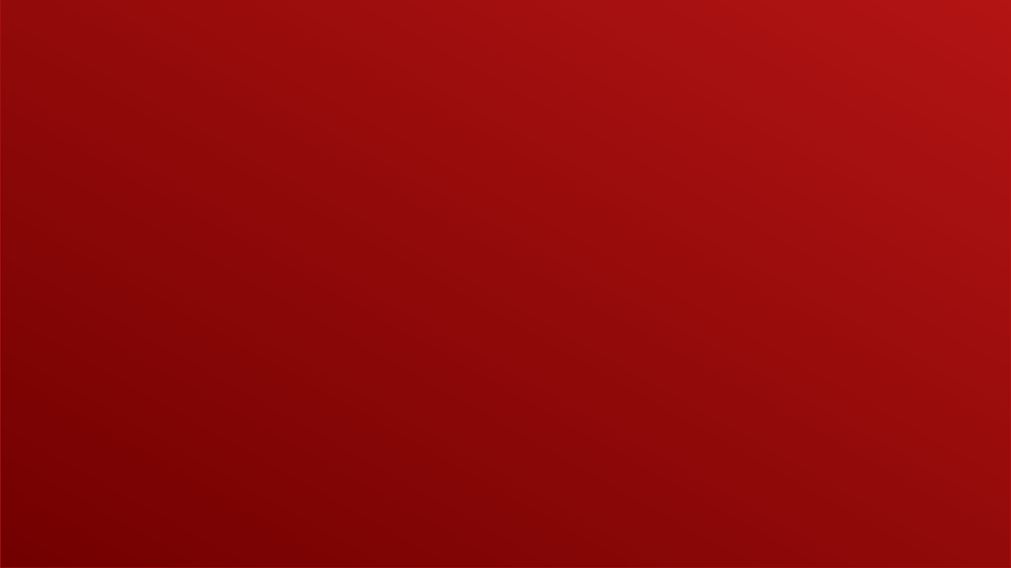 Fly Aviation (2).png