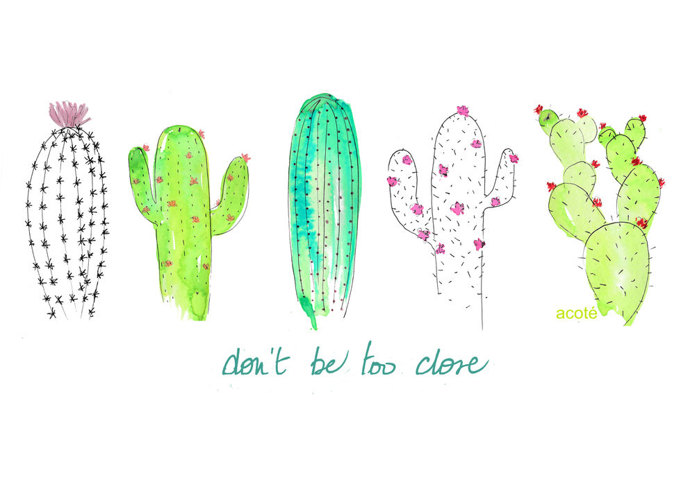 'cactus etc' . acoté Cotélac . été 2017