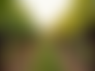 Discover Why Chateau Des Charmes is a Must-Visit on Your 2026 Niagara-on-the-Lake Tour