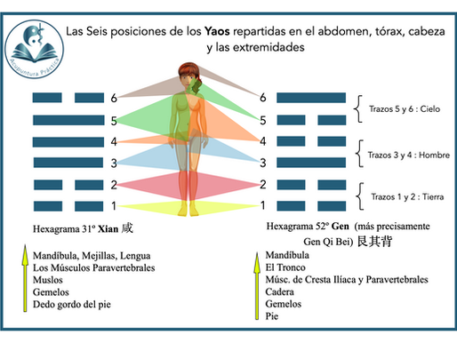 ¿Cómo habla Yi Jing de la imagen corporal?