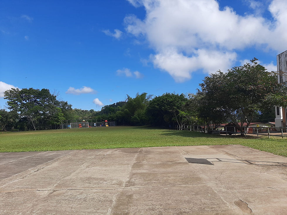 Miniatura: Pozos