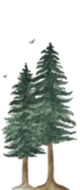 Black White Modern Beach House Logo_edited.png