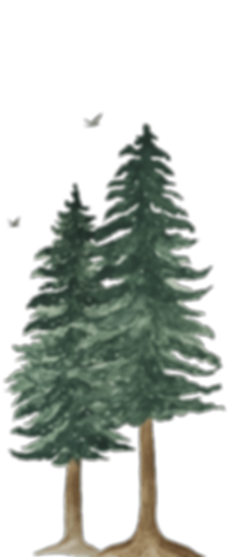 Black White Modern Beach House Logo_edited.png