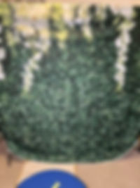 Grass and Floral Back Drop