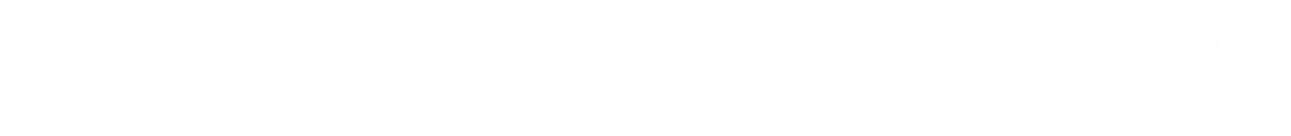9053ac_60f3e1f9ab0d43fe9186e9e7a1a42dc3~mv2.webp