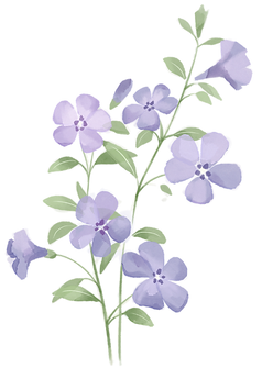 Untitled design (47)_edited.png