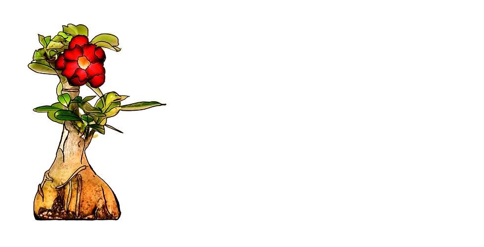 Untitled design - 2024-08-27T135848.541.png