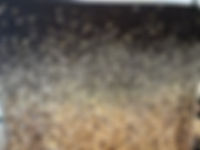 Gold and Black dust Back drop