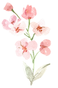 Untitled design (47)_edited.png