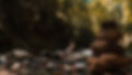 Meditating in Nature_edited.jpg