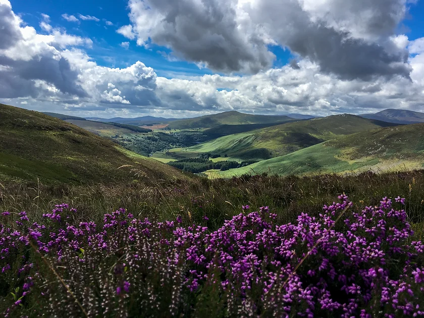 Wicklow Mountains.webp