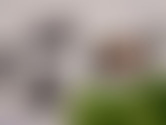 Galería - 2ª Exposición Fotográfica Tertuliarte