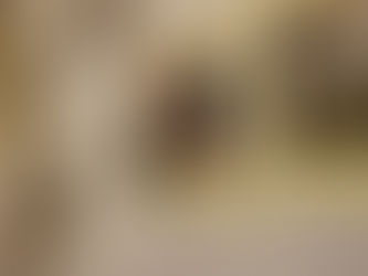 Galería - 1ª Exposición Fotográfica Tertuliarte