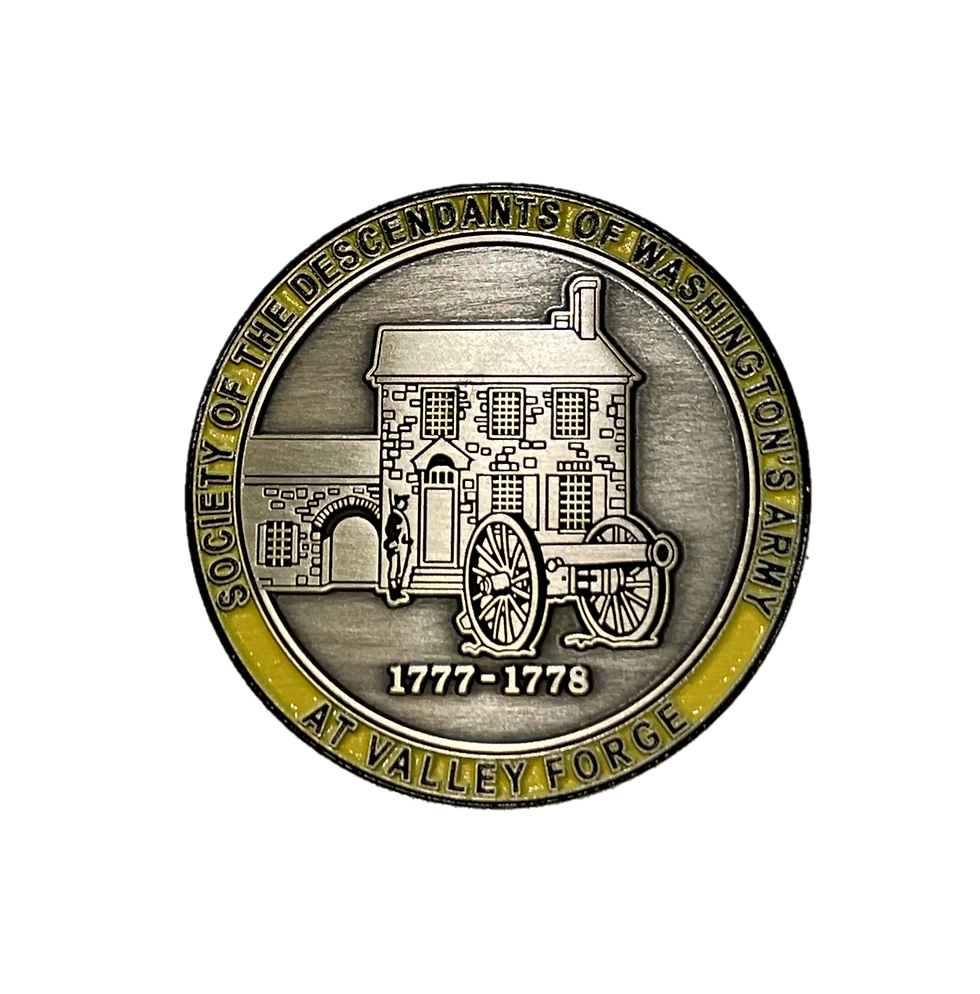 Thumbnail: 250th DVF Challenge Coin - Single Coin