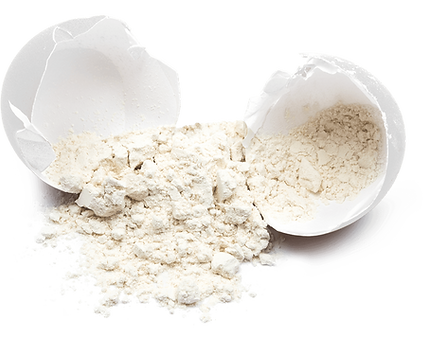 Eggshell membrane powder (1).png