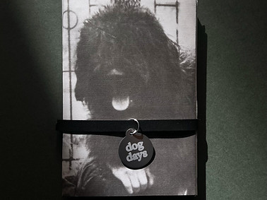 dog-days-buchcover-shiftbooks.JPG