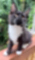 F76DF8E0-628E-451A-A94E-DE069DB6D087_1_201_a.jpeg