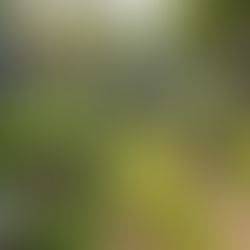 Transforming Small Contributions into Collective Achievements: The Power of Community Investment