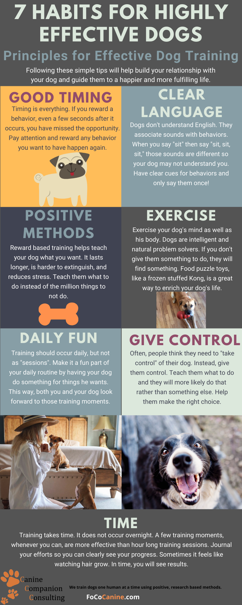 Dog Training Blog Words Of Woofdom Puppy Trainer Advice