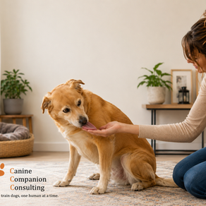 The Kiss to Dismiss: When Your Dog's Licks Mean "Please Give Me Some Space"