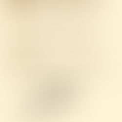 Creating a Harmonious Multi-Pet Household