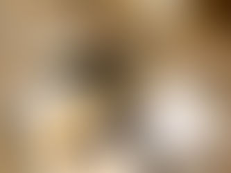 A Letter from Your Dog: We Need to Talk!