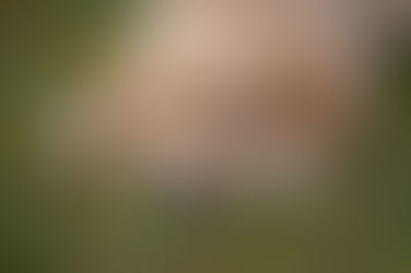 Know When To Say NO!