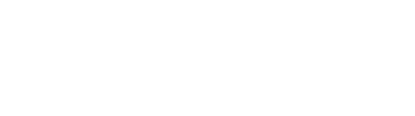 International School of Ulm/Neu-Ulm logo