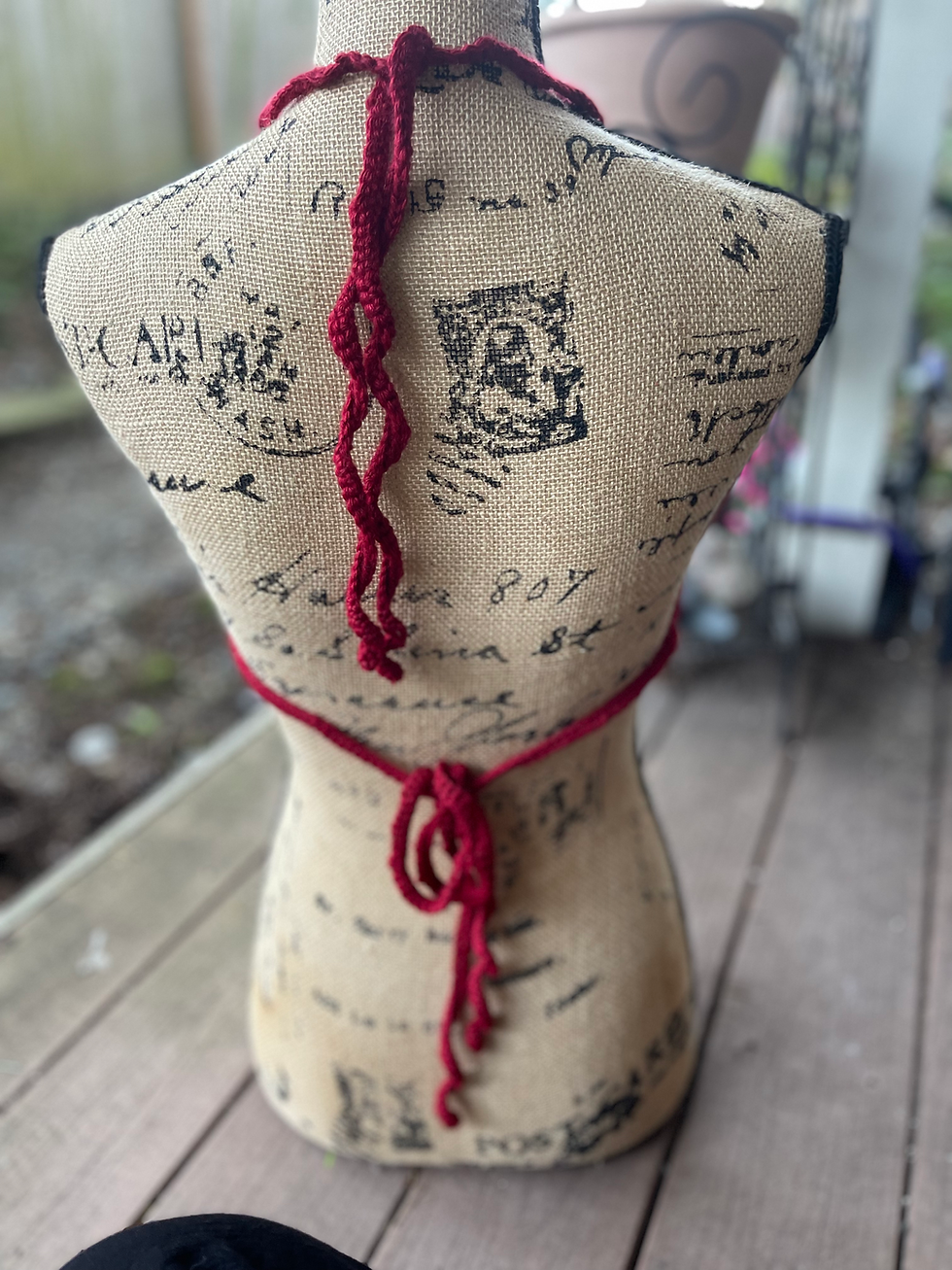 Heart Shaped Crop Top Back View