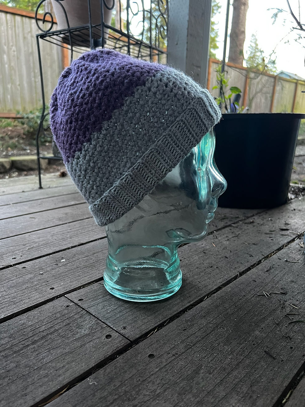 Grey/Purple Beanie Side View