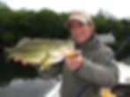 black-bass