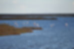 Etangs