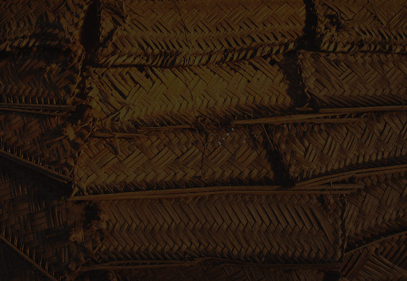 A NIGHT AT THE FALE BANNER.png