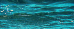 underwater_bg_2_by_paradise234-d5mg3fy_edited.jpg