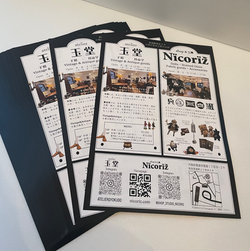 Nicoriz Flyer