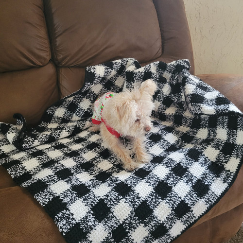 Crochet Gingham Throw Blanket PATTERN skeinsnsticksdesigns